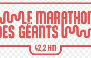 Marathon de Toulouse