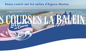 La Baleine à Aigues Mortes