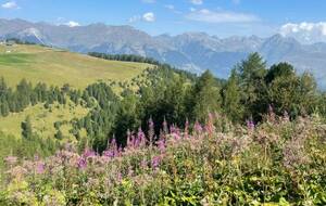 La 6000D à La Plagne