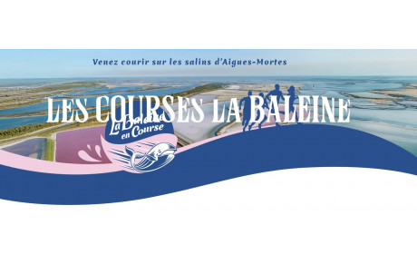 La Baleine à Aigues Mortes