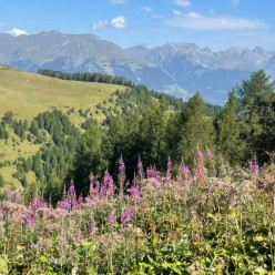 La 6000D à La Plagne